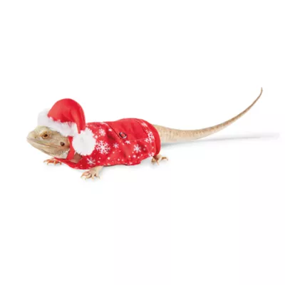 Product Merry & Bright Reptile Snowflake Pajamas