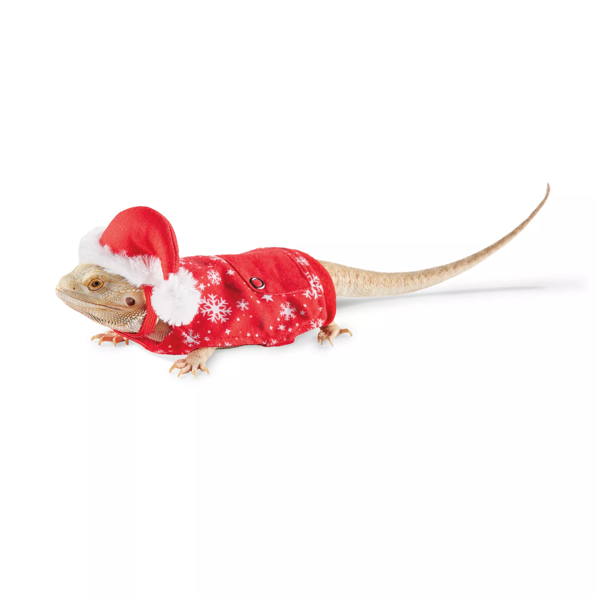 Merry & Bright Reptile Snowflake Pajamas