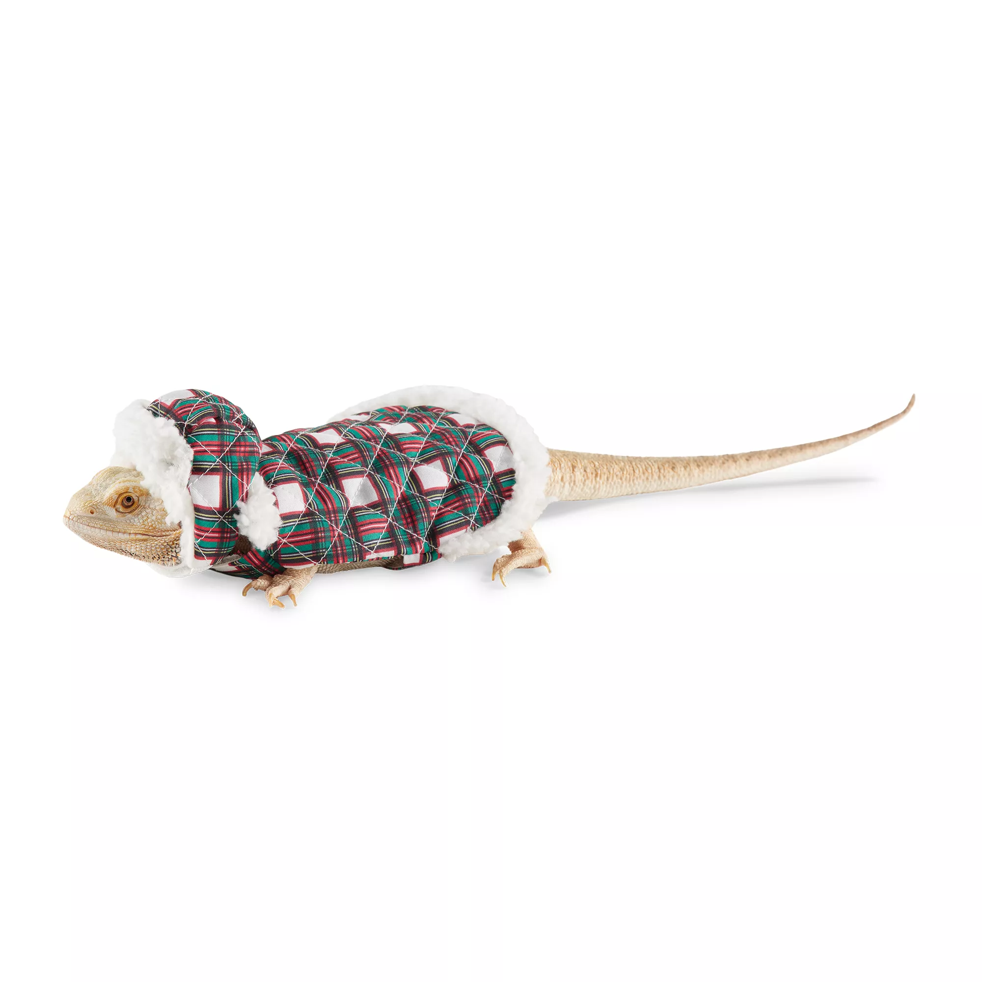 Merry & Bright Reptile Puffer Jacket & Cap