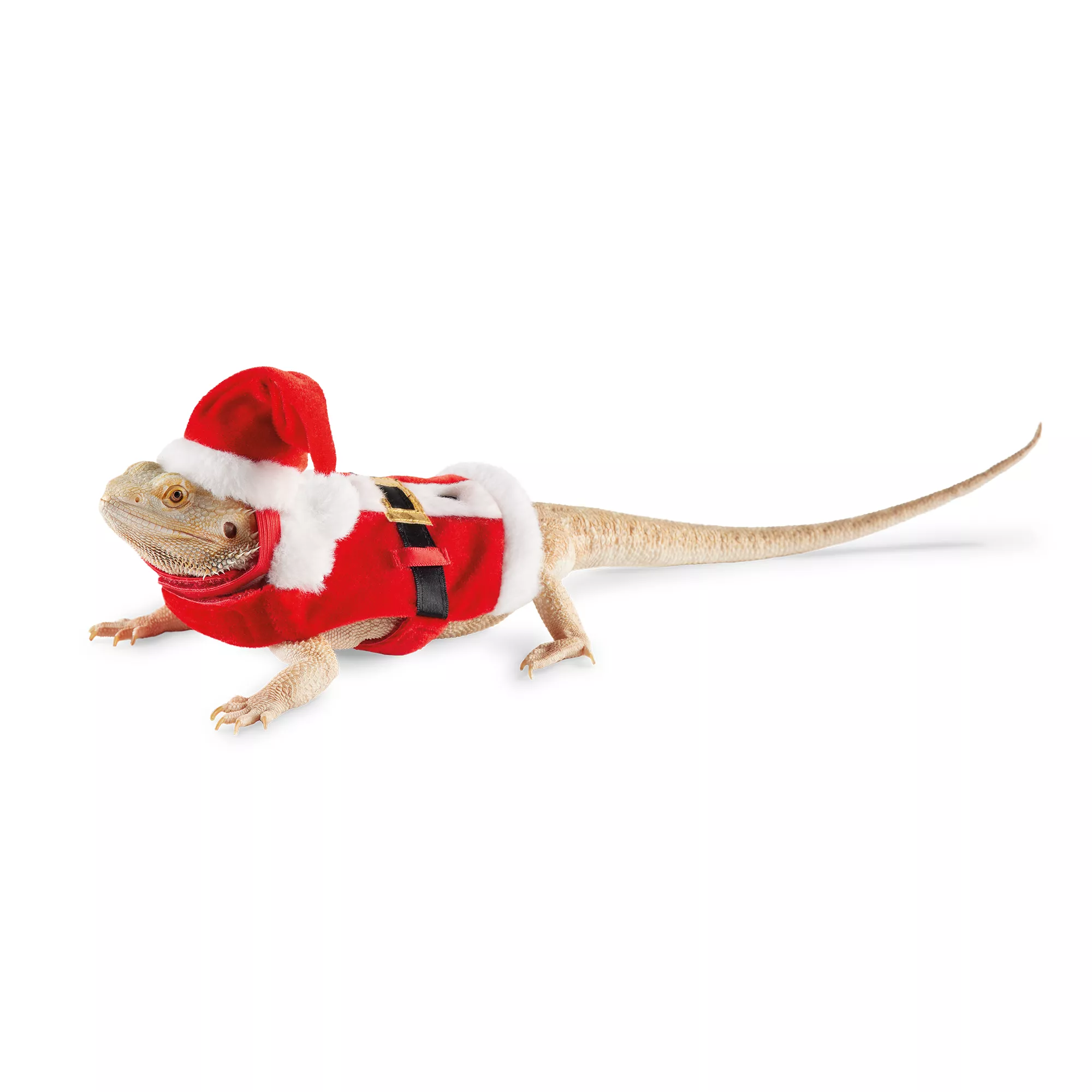 Merry & Bright Reptile Santa Costume