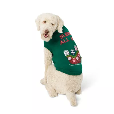 Product Merry & Bright Sleigh Ugly Sweater, Dog & Cat