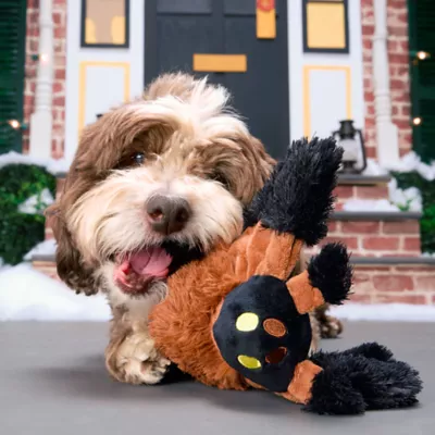 Product Home Alone - Buzz's Tarantula Dog Toy