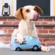 Product Home Alone - Van Dog Toy