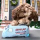 Product Home Alone - Van Dog Toy