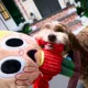 Product Home Alone - Scared Kevin Dog Toy