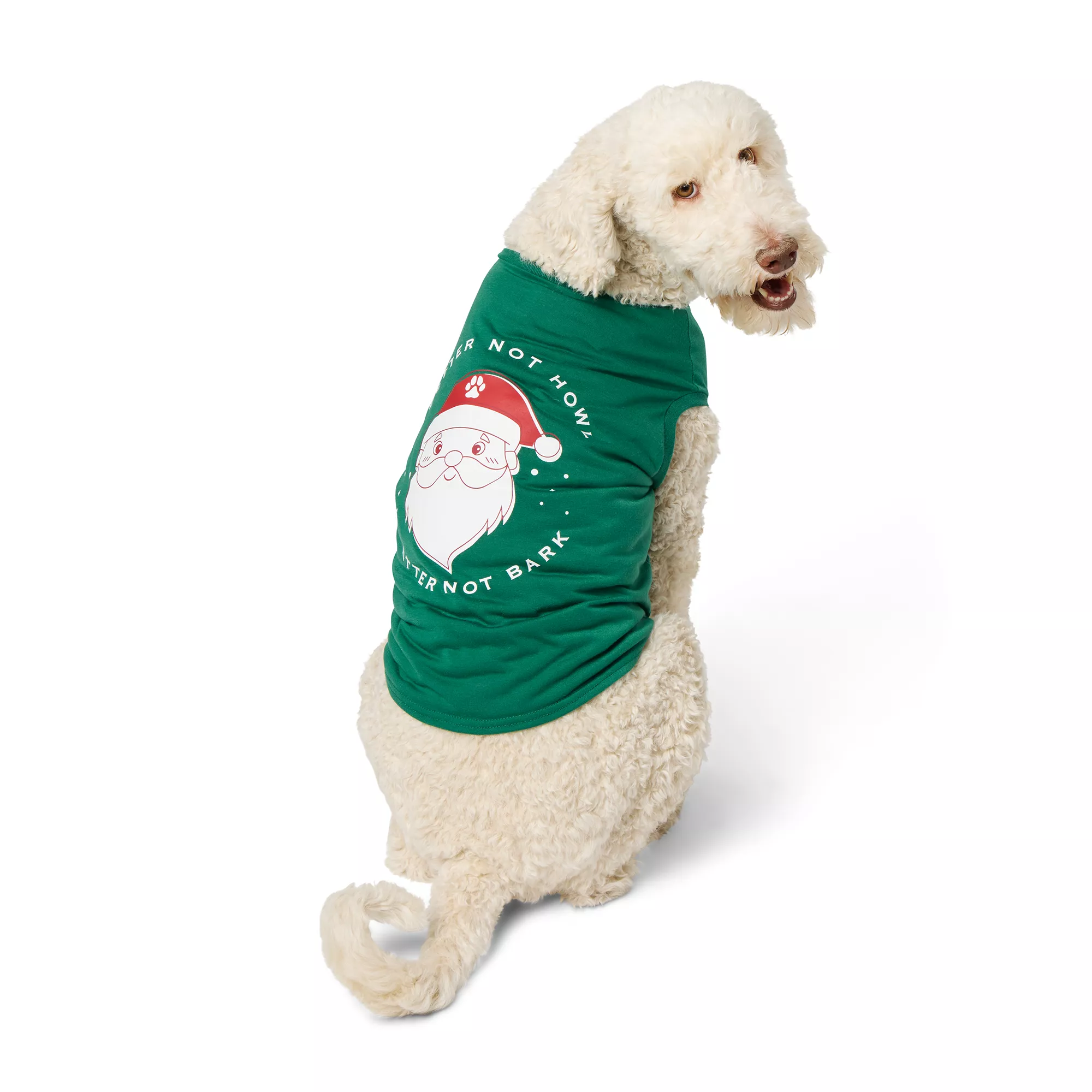 Merry & Bright Santa Dog Tee