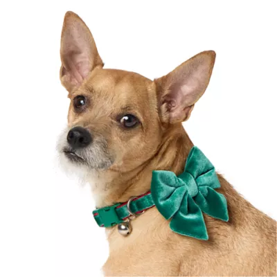 Product Merry & Bright Green Velvet Dog Collar