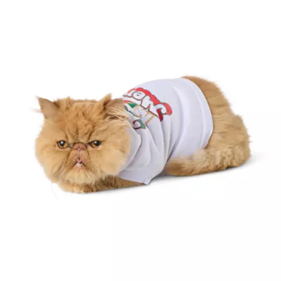 Product Merry & Bright Merry Dog Tee, Dog & Cat