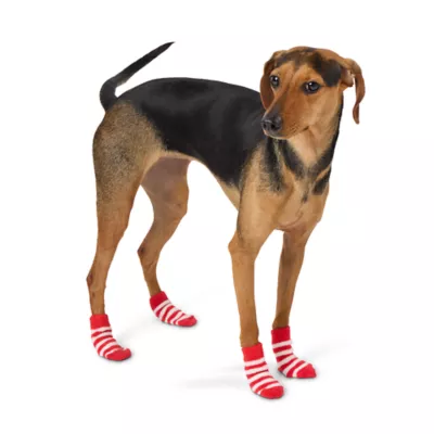 Merry Bright Striped Socks for Dogs Small Medium Red 4 ct