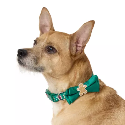 Product Merry & Bright Gingerbread Man Dog Collar