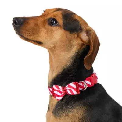 Merry Bright Candy Cane Striped Dog Collar Size Large PetSmart