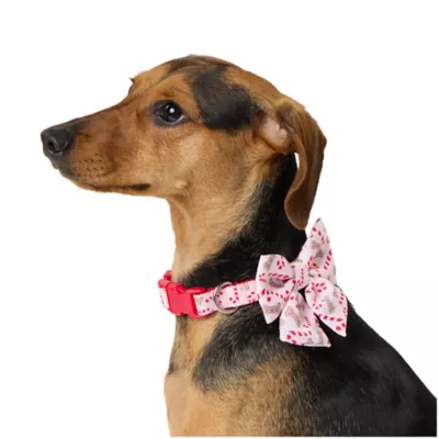 Product Merry & Bright Pink Peppermint Dog Collar