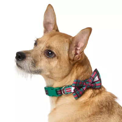 Product Merry & Bright Plaid Dog Collar