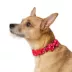 Merry & Bright™ Snowflakes Dog Collar image thumbnail 2