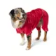 Product Merry & Bright Red Satin Pajamas, Dog & Cat