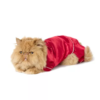 Product Merry & Bright Red Satin Pajamas, Dog & Cat