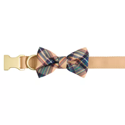 Merry & Bright™ Khaki Dog Collar - Image 1