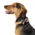 Merry & Bright™ Khaki Dog Collar image thumbnail 2