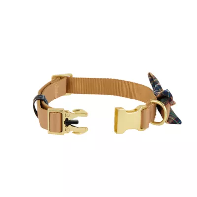 Product Merry & Bright Khaki Dog Collar