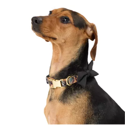 Product Merry & Bright Black Dog Collar