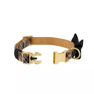 Product Merry & Bright Black Dog Collar