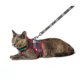 Product Merry & Bright Plaid Kitten Harness and Leash Combo Set