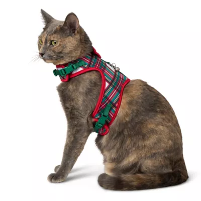 Merry Bright Plaid Kitten Harness and Leash Combo Set