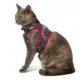 Product Merry & Bright Plaid Kitten Harness and Leash Combo Set