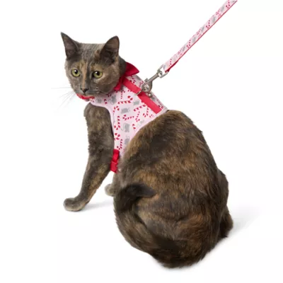 Product Merry & Bright Pink Candy Cane Kitten Harness and Leash Combo Set