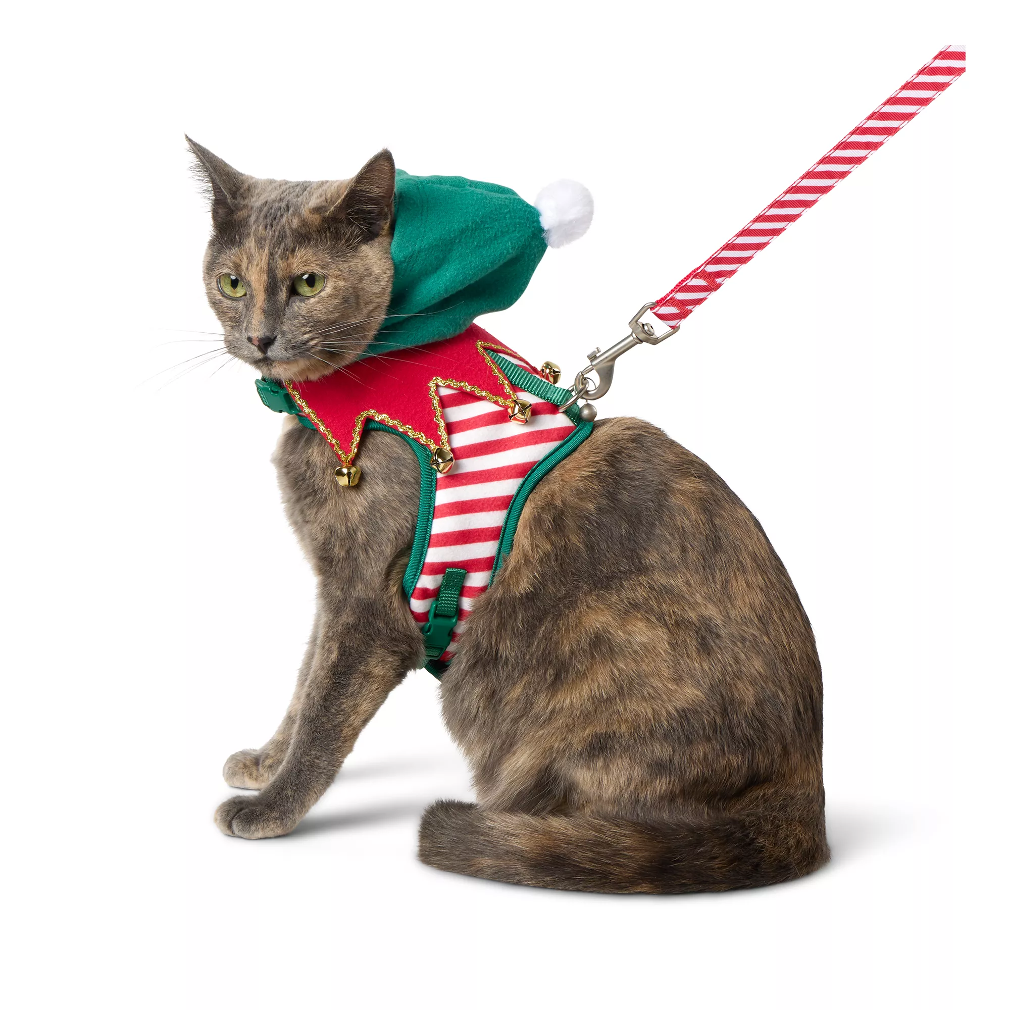 Merry & Bright&trade; Elf Harness and Leash Cat Combo Set