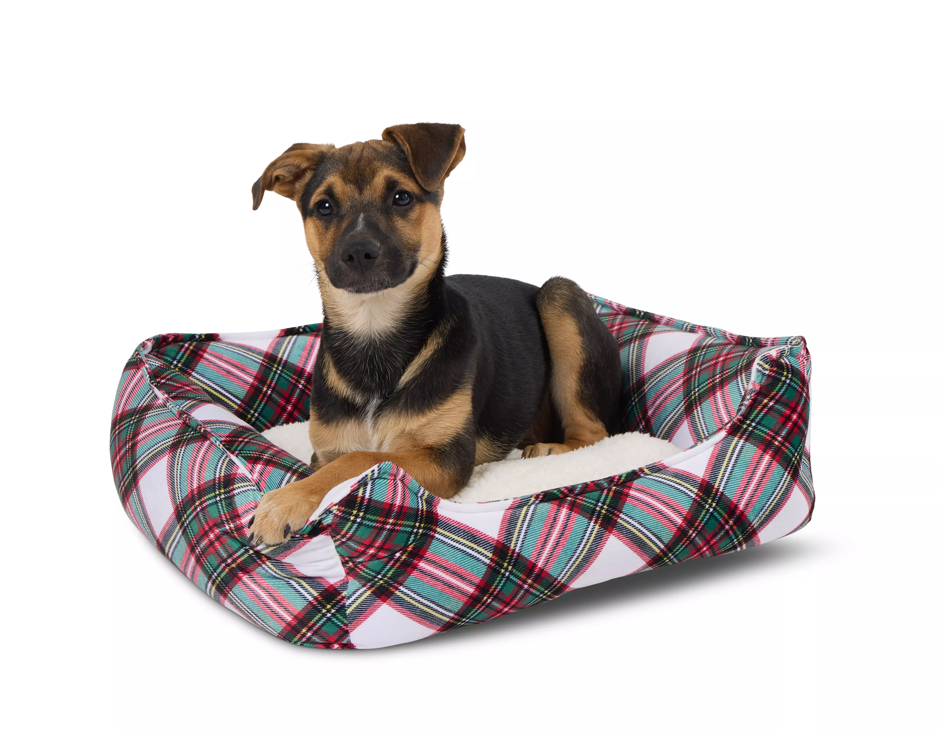 Merry & Bright&trade; Holiday Plaid Cuddler Dog Bed