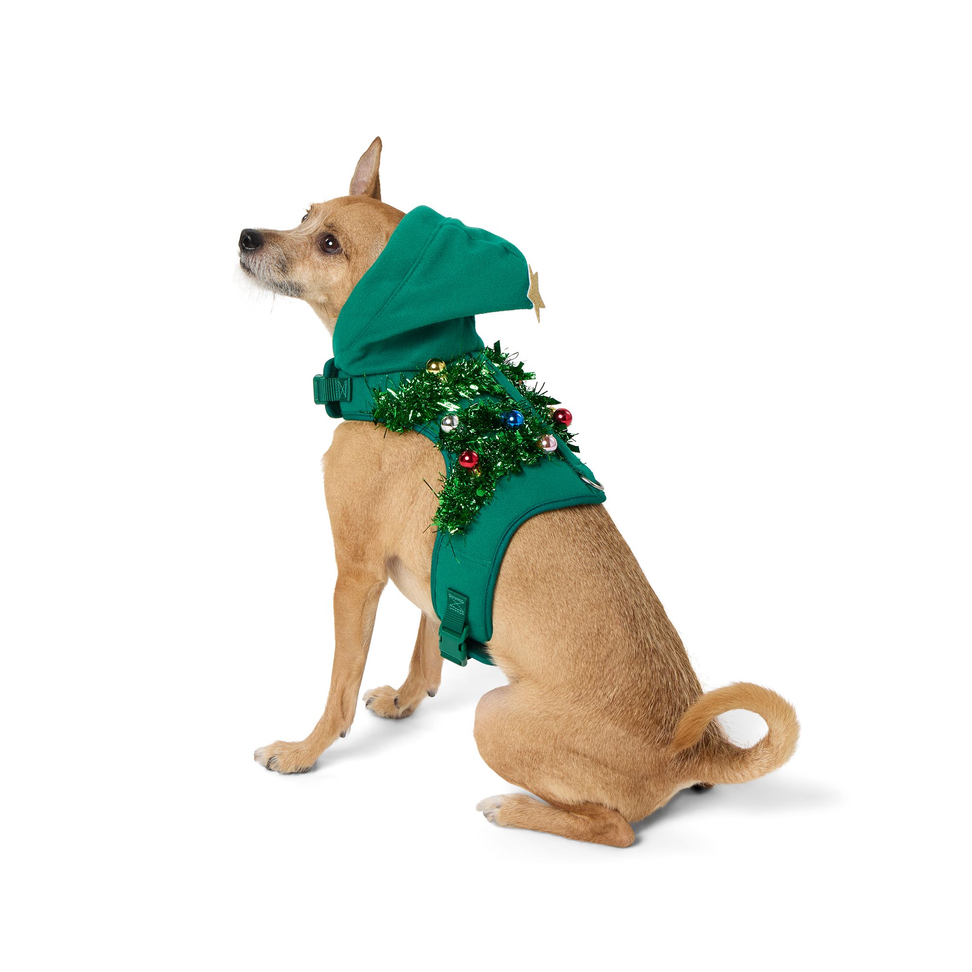 Petsmart holiday collars best sale