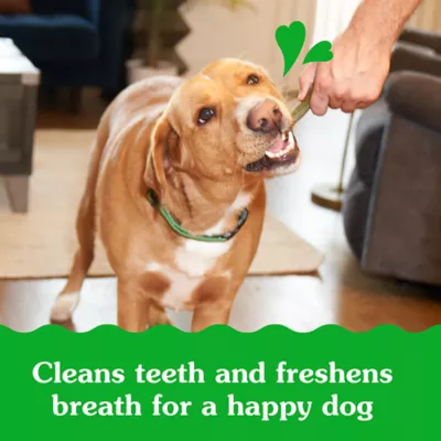 Product Greenies Dental Treats Chews