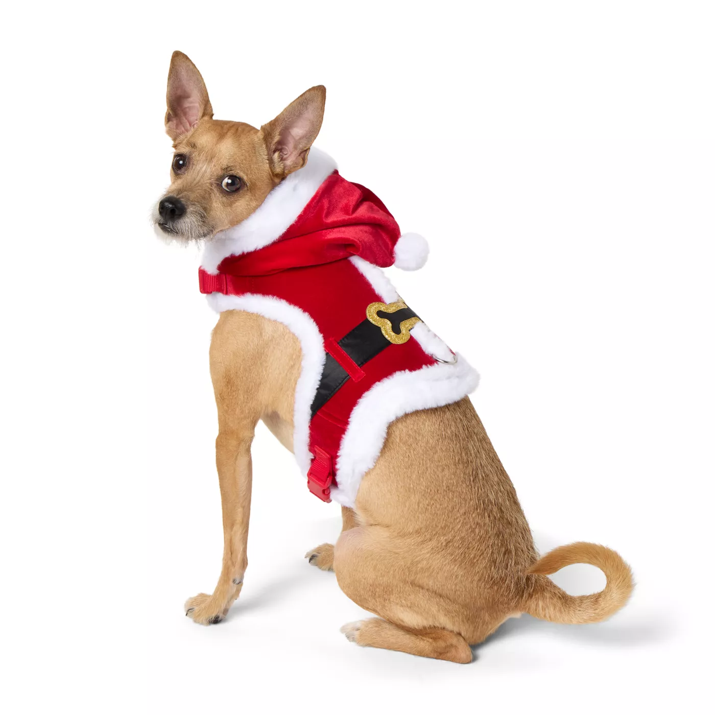 Dog in santa costume best sale