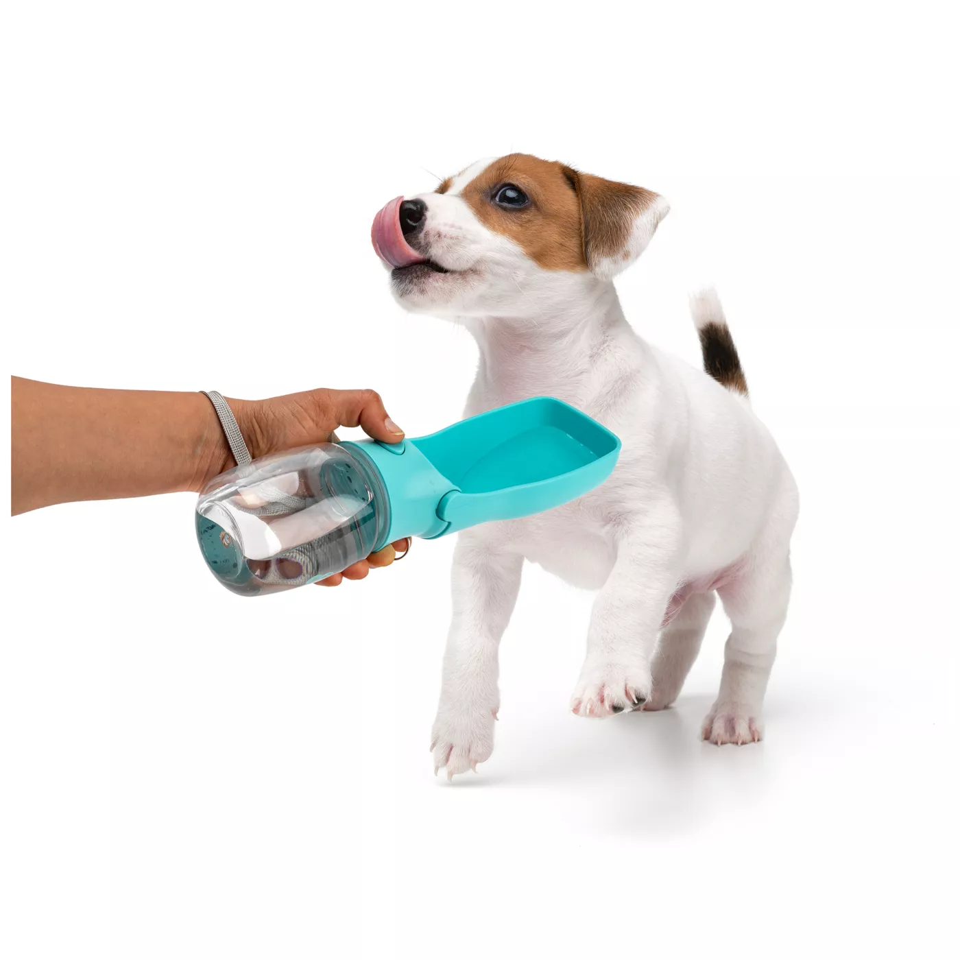 Nice Paws Foldable Water Dispenser for Dogs and Cats