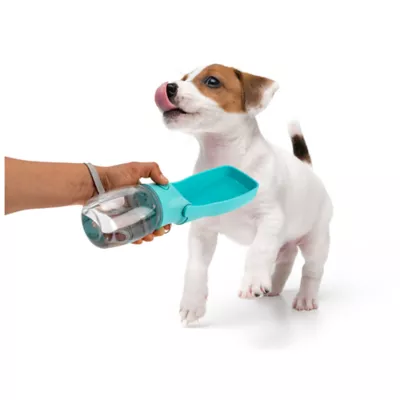 Product Nice Paws Foldable Water Dispenser for Dogs and Cats