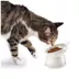Nice Paws Titled and Elevated Cat Bowl - Recycled Plastic, White image thumbnail 3