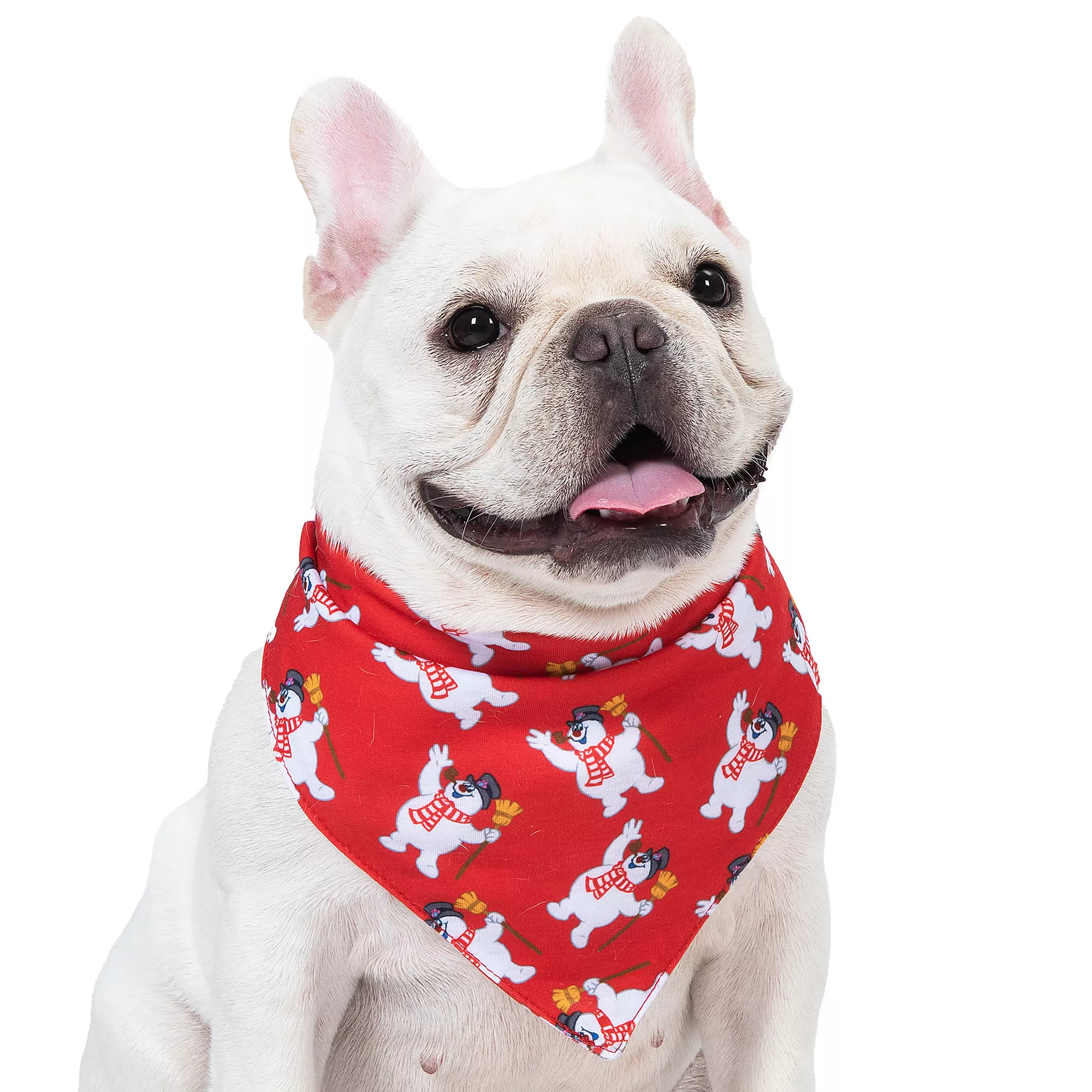 Frosty Dog Bandana