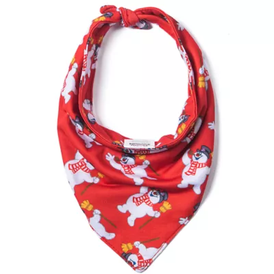 Product Frosty Dog Bandana