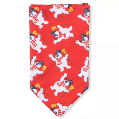 Product Frosty Dog Bandana