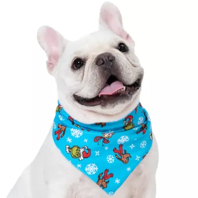 Petsmart bandana best sale