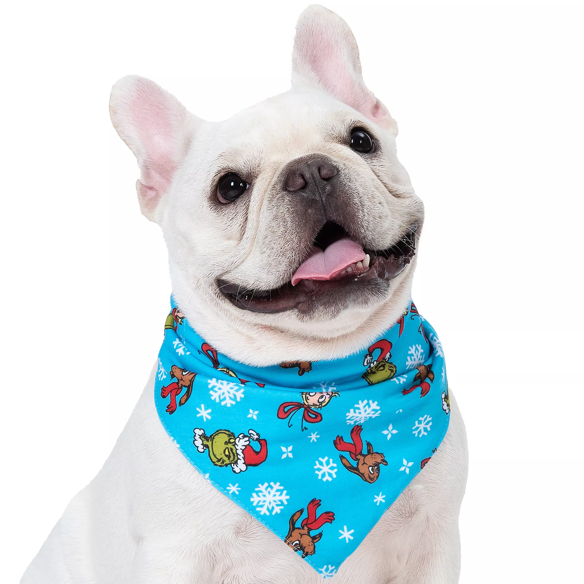 Holiday Grinch Dog Bandana