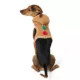 Product Merry & Bright Gingerbread Man Costume Harness