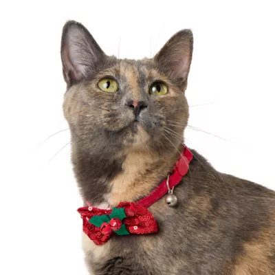 Petsmart christmas collars best sale