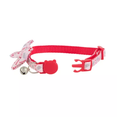 Petsmart kitten collars best sale