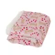 Product Merry & Bright Candy Cane Pet Blanket