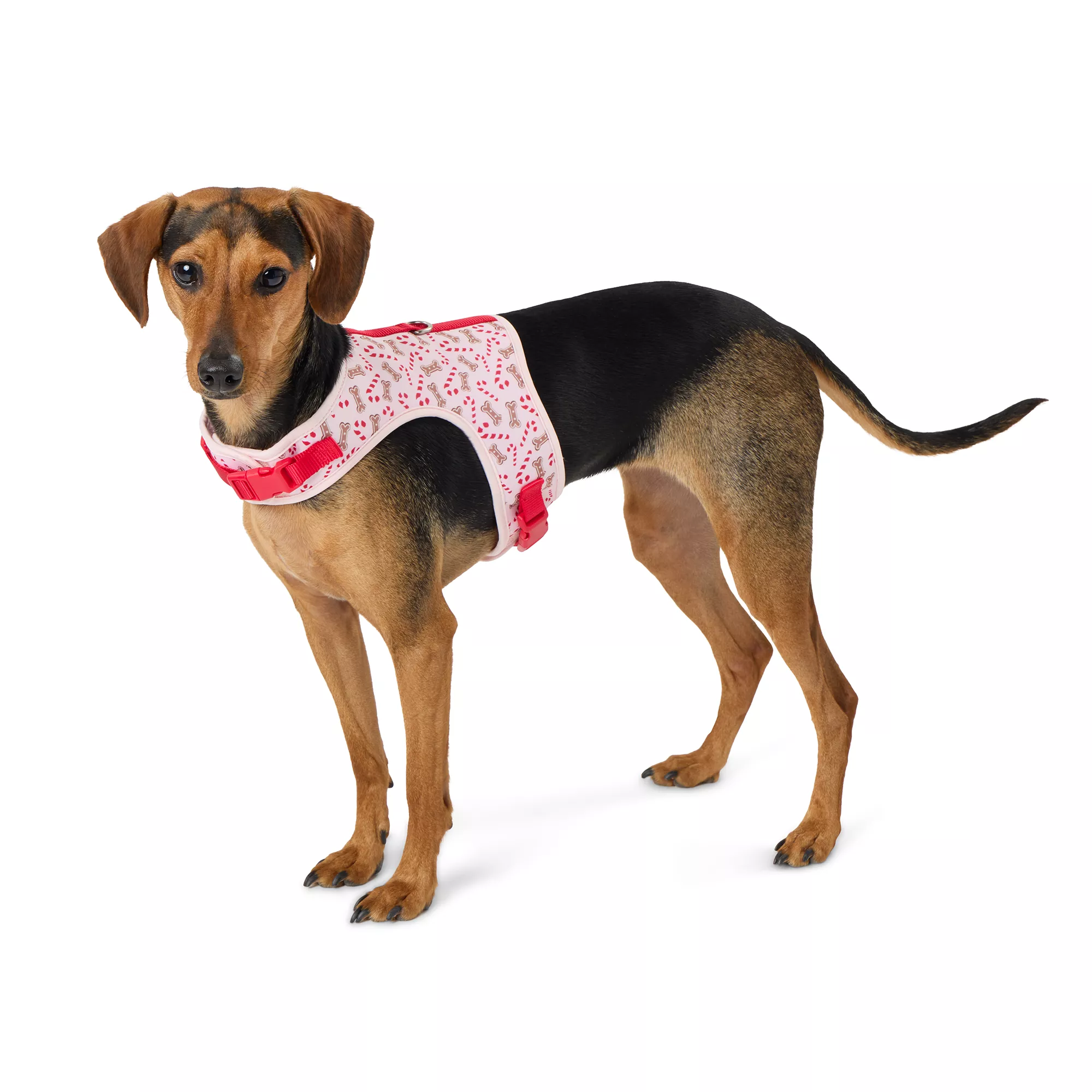 Merry & Bright&trade; Pink Peppermint Vest Harness