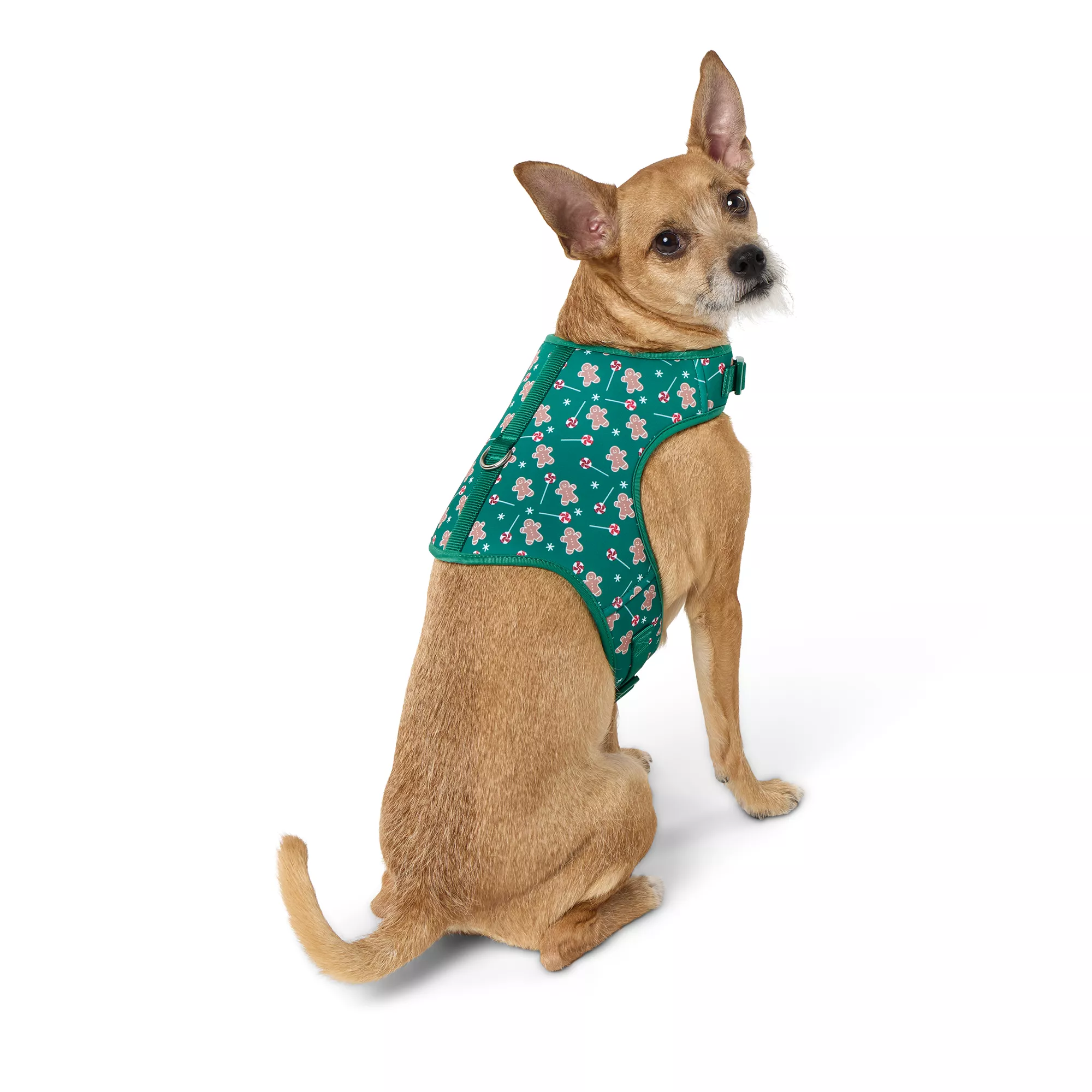 Merry & Bright&trade; Gingerbread Man Vest Harness