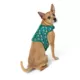 Product Merry & Bright Gingerbread Man Vest Harness