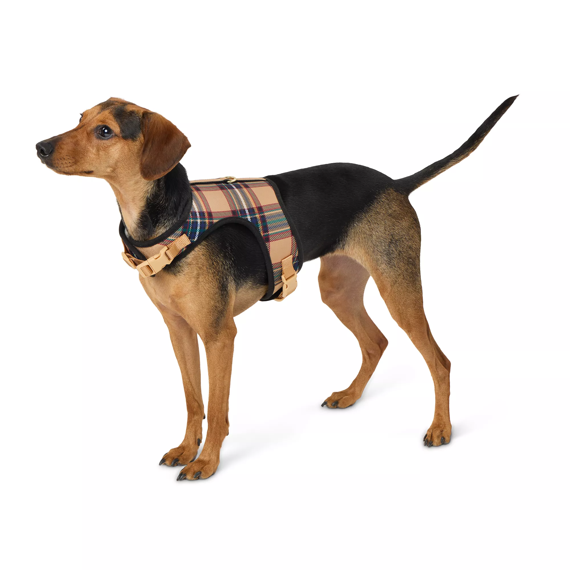 Merry & Bright&trade; Plaid Vest Harness